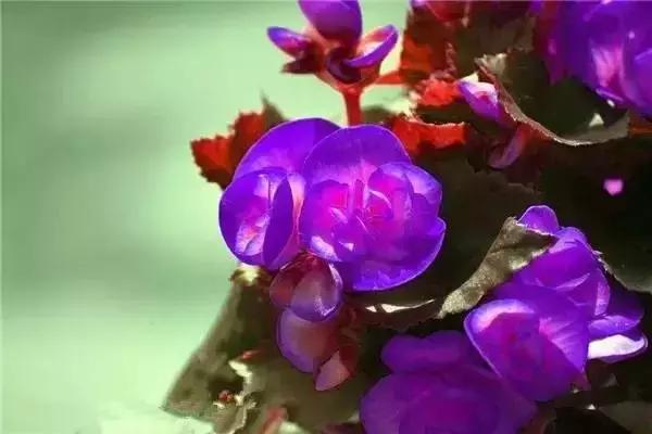 真理游戏的故事_手机游戏真理_真理手机游戏在线玩