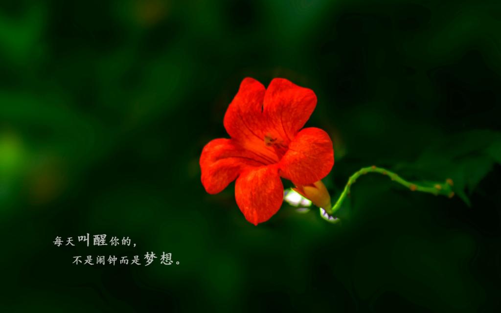 沙耶香_沙耶香_沙耶香