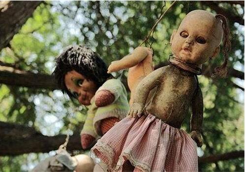 苹果官网查序列号入口_iphone序列码查询官网_apple序列号查询网址