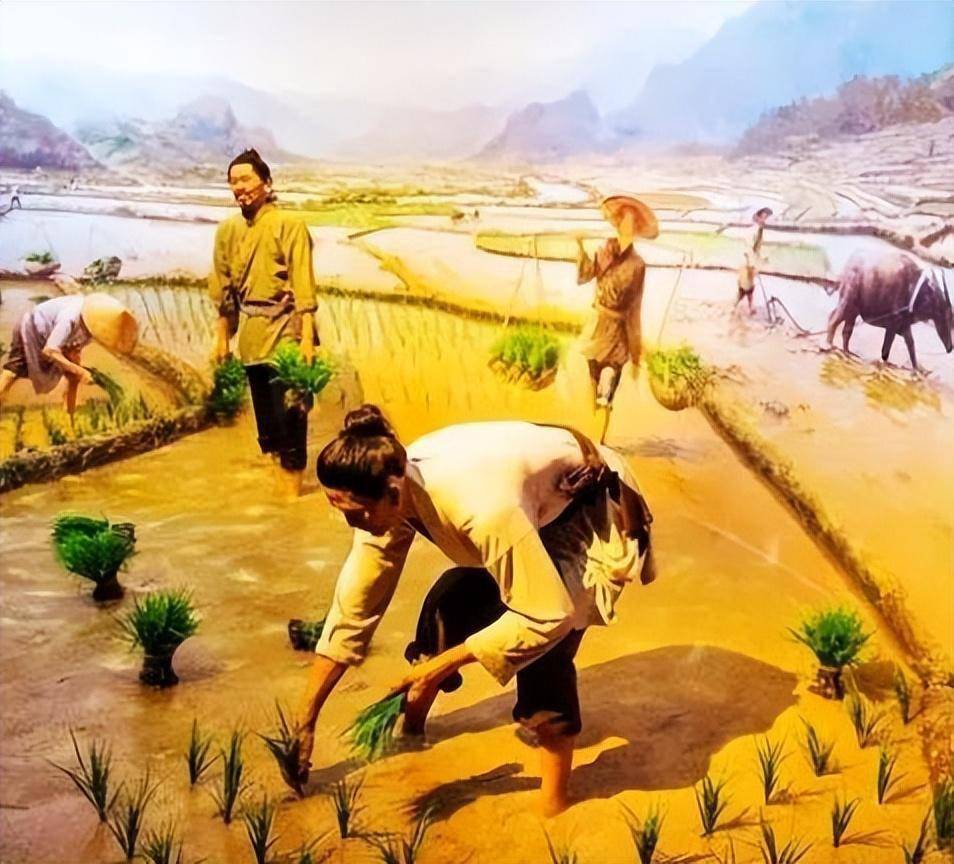 莱迪亚_莱迪亚id_莱迪亚不见了怎么办