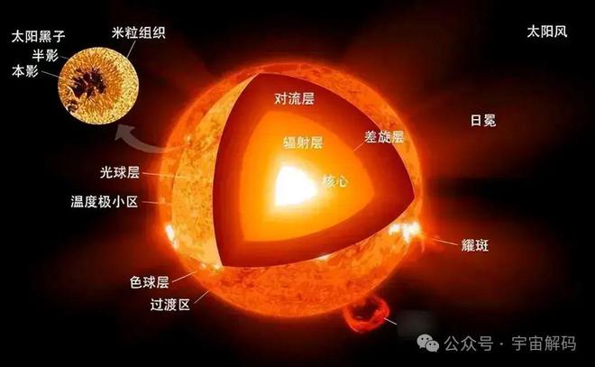 多元菌_多元菌_多元菌