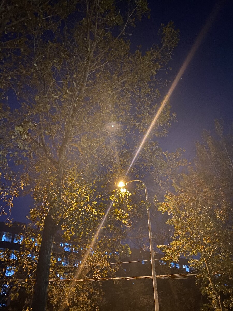 银创伙伴下载app_伴伴app下载_联动伙伴下载app