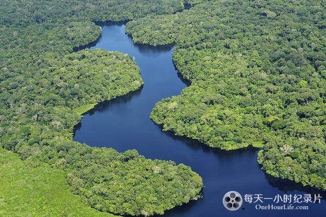 c语言实现_语言实现是什么意思_语言实现词法分析器