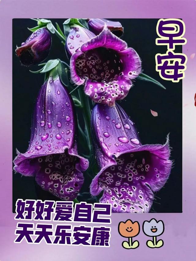 人物变色手机游戏推荐_手机游戏人物变色_人物变色手机游戏软件