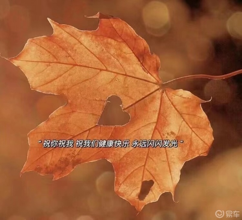 遇见凌肖：在匆匆世界中寻找的温暖与神秘