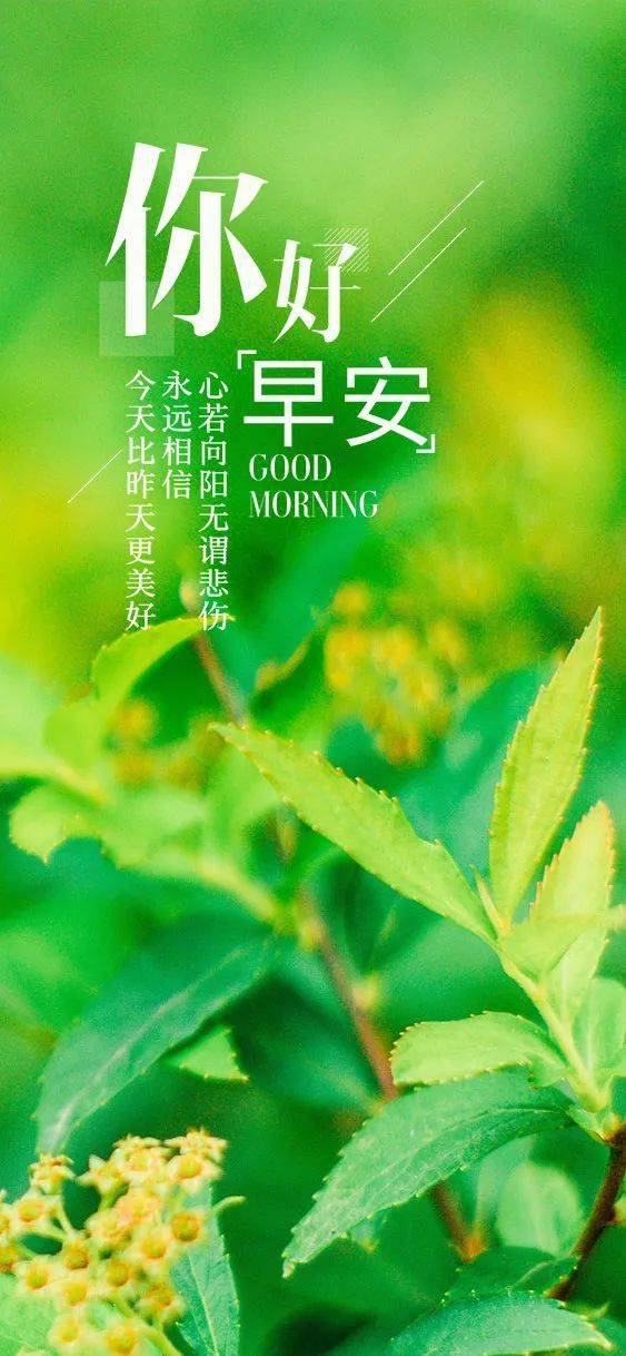 2022年12月28日_2025年是不是闰月年_2025年是不是润月年