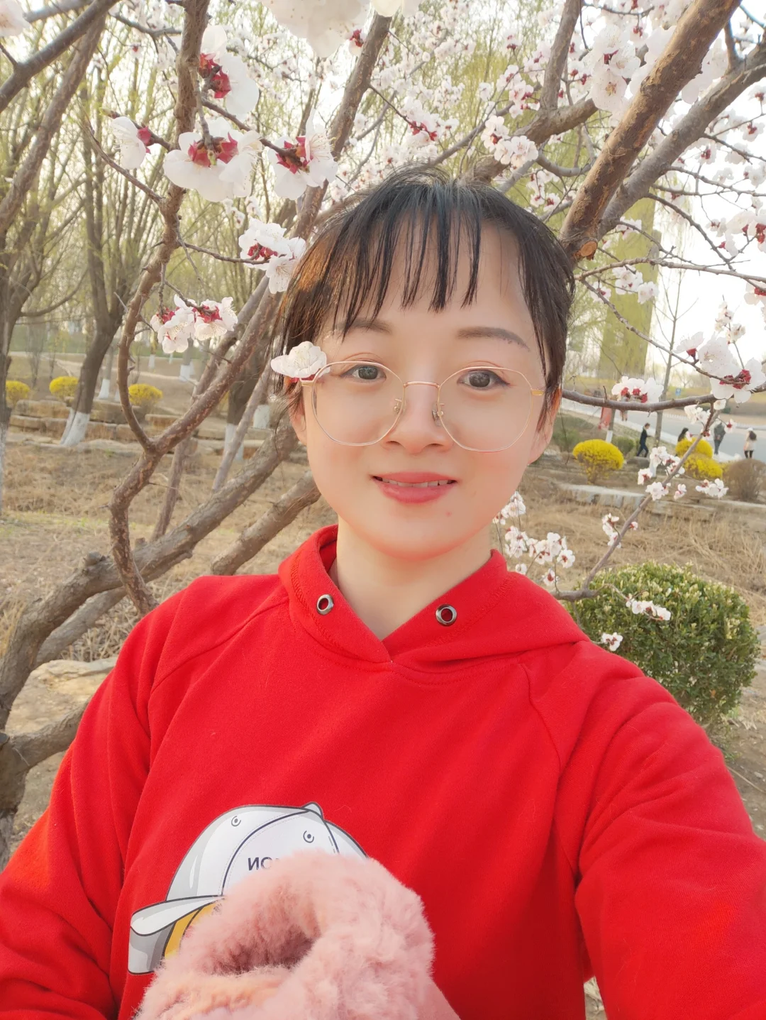 连接网络设置手机游戏怎么设置_连接网络设置手机游戏没反应_手机游戏设置网络连接不了