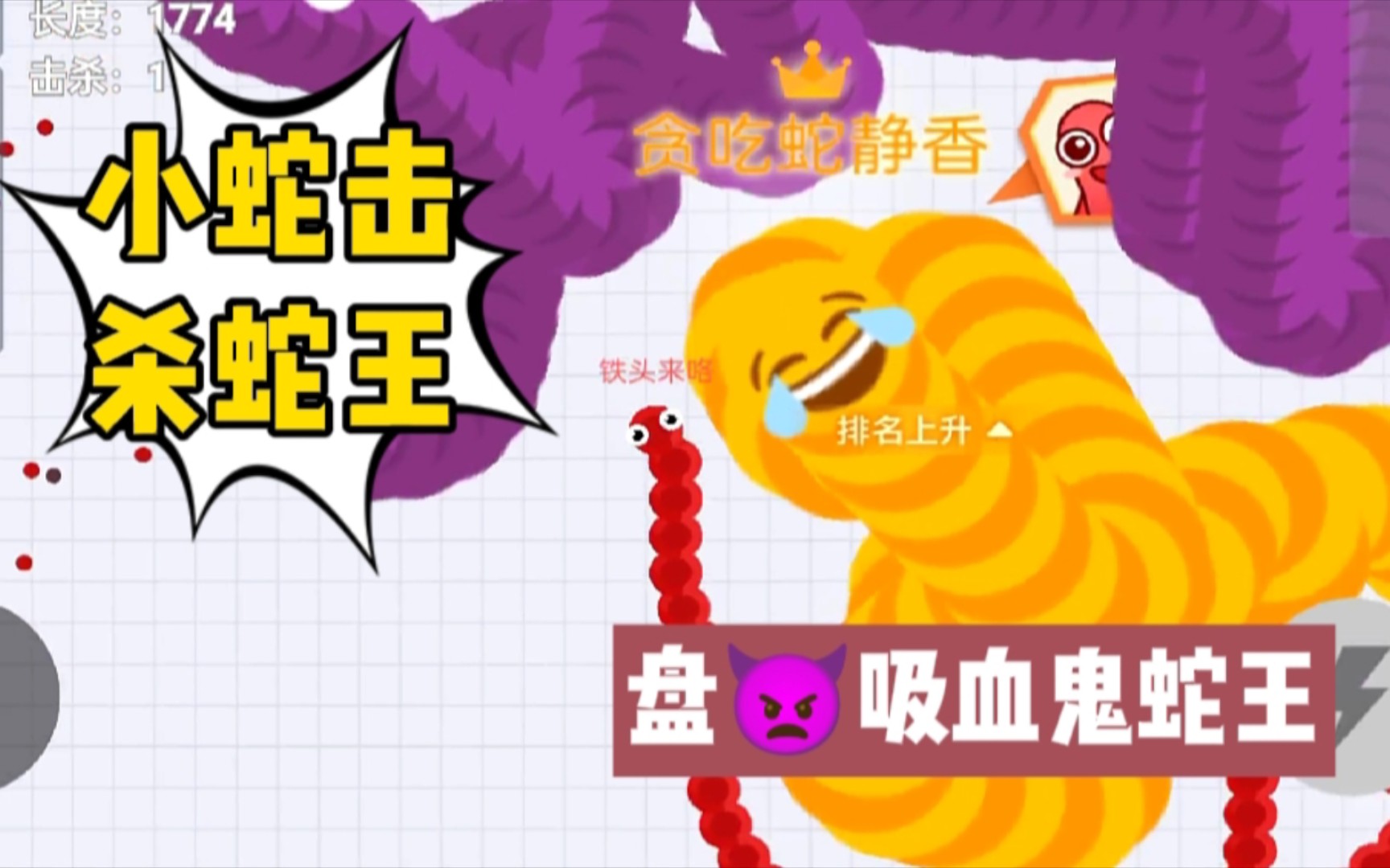 直播玩贪吃蛇_直播贪吃蛇是哪款_手机贪吃蛇怎么直播游戏