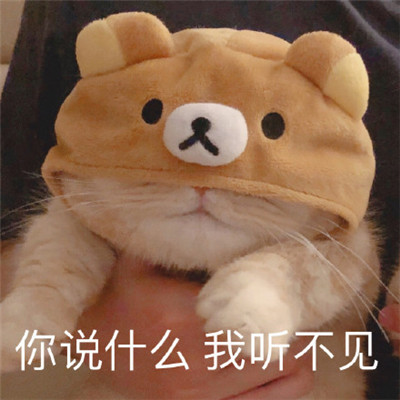字符串的长度怎么算-字符串长度：从买菜到编程的烦恼与乐趣