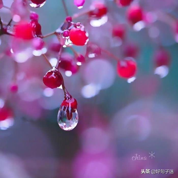 舞法天女法苏表情包_舞法天女法苏乐谱_法苏