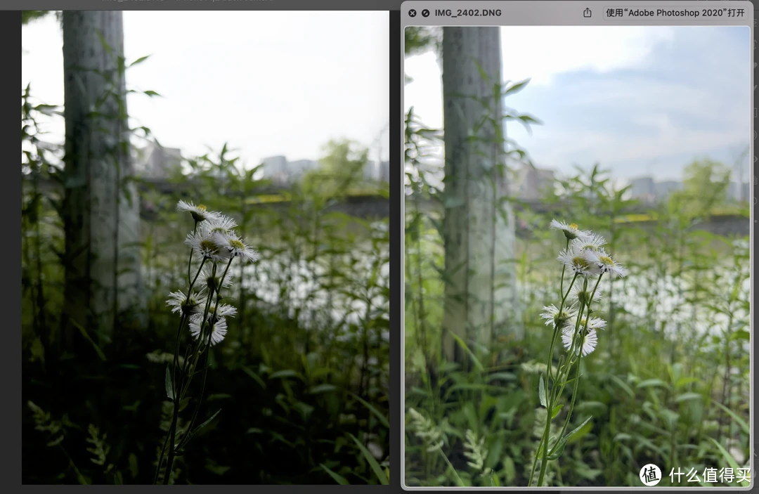 iphone怎么拍月亮_月亮拍出来是黄色的_月亮拍了拍你说下一句