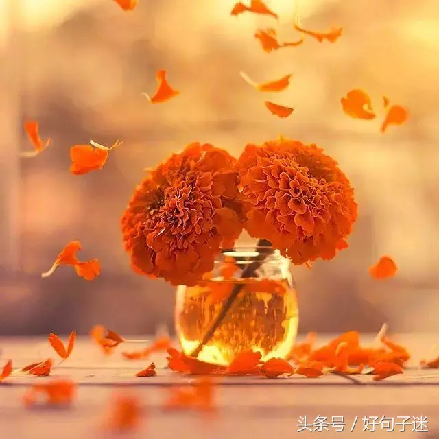 2042_2042年是属什么年_2042年日历