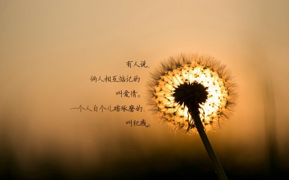 2042年日历_2042年是属什么年_2042