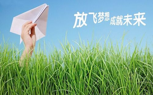 静冈机场到伊豆_伊豆大学_伊豆田园