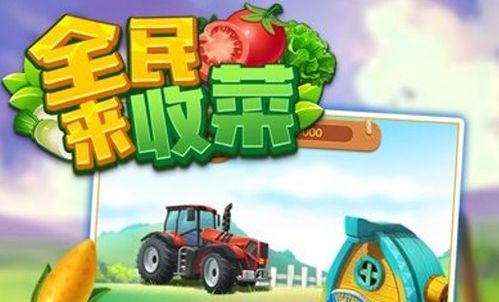 手机收菜游戏,体验田园乐趣